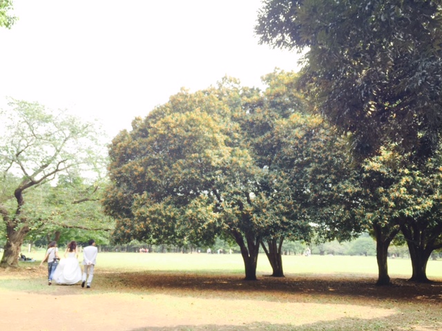 image3 (2)