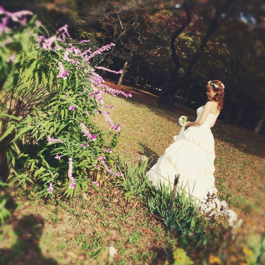 Processed with Rookie Cam
