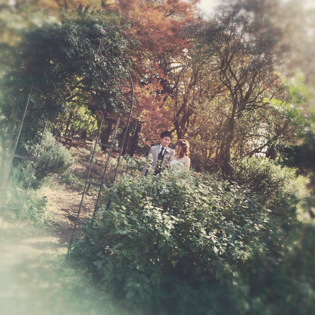 Processed with Rookie Cam