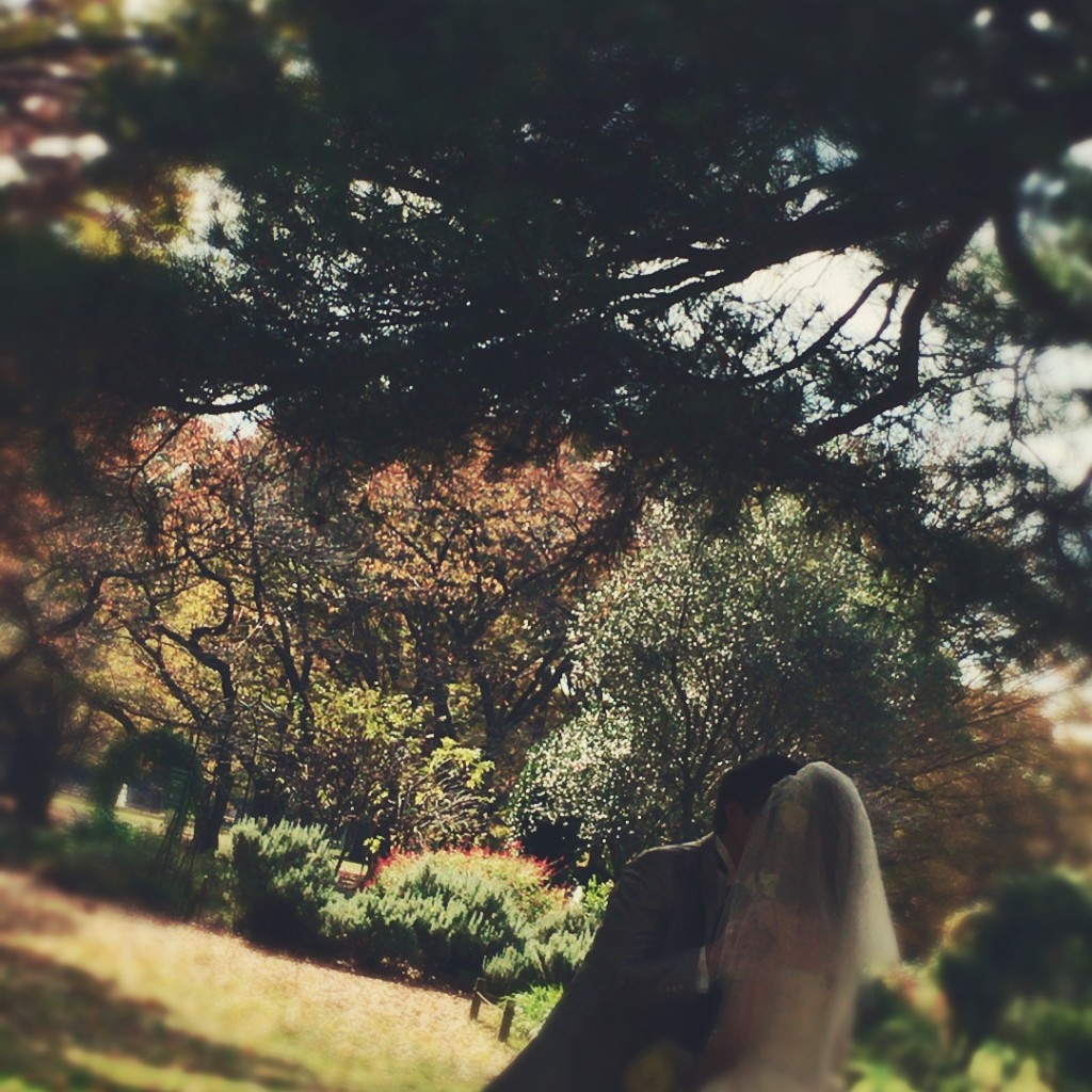 Processed with Rookie Cam