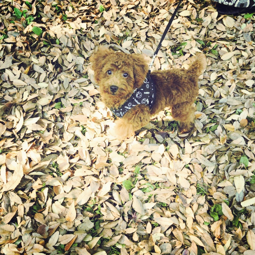 ファイル_000 (1)