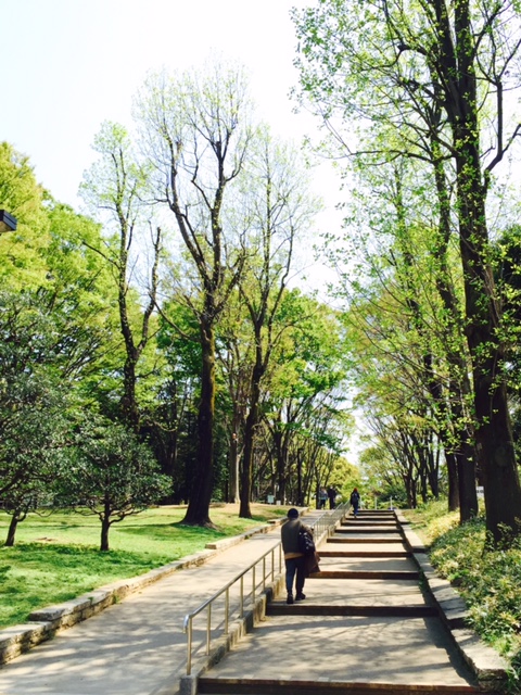 image1 (1)