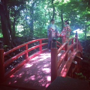 image2 (1)