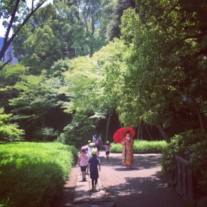 image3 (1)