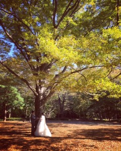 image2 (1)
