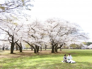 Processed with MOLDIV