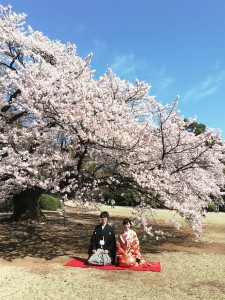 Processed with MOLDIV